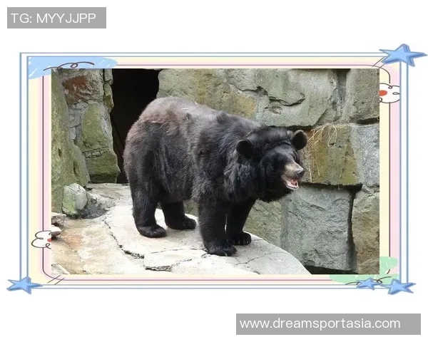 重庆街舞队的整体压制现象探析与深度解读 重庆街舞队的整体压制现象探析与深度解读